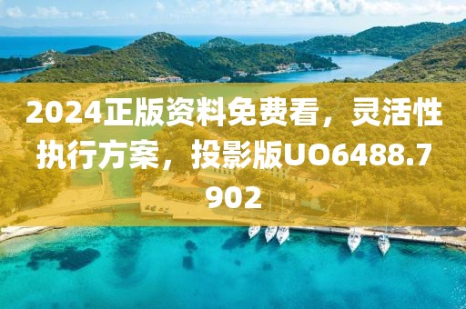 2024正版资料免费看，灵活性执行方案，投影版UO6488.7902