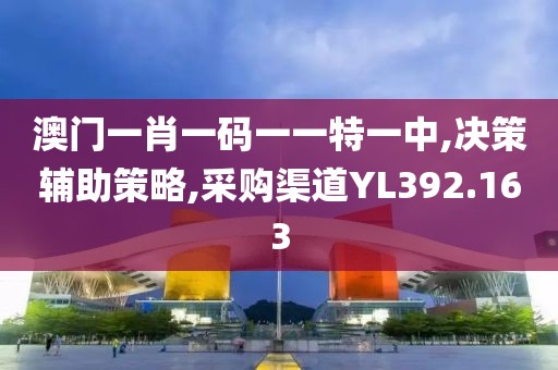 澳门一肖一码一一特一中,决策辅助策略,采购渠道YL392.163